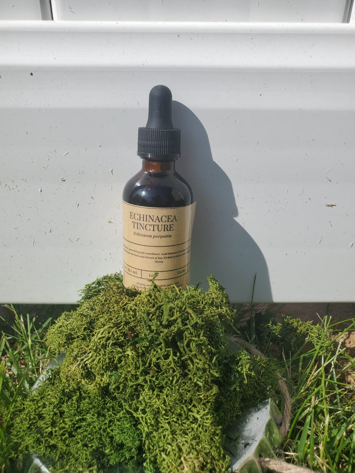 Echinacea Tincture
