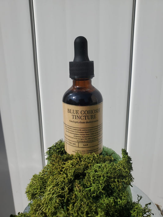 Blue Cohosh (Caulophyllum thalictroides)