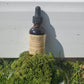 Echinacea Tincture