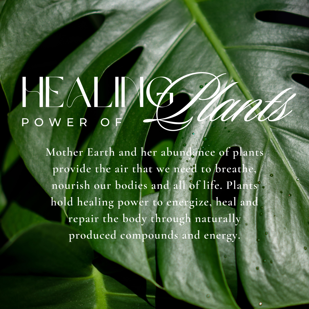 files/HERBALIST_POSTS_3.png