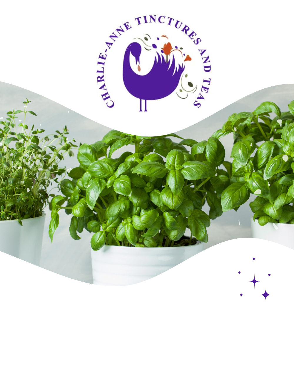 files/MOBILE_New_Collection_9b7a9ed3-5526-46e8-971b-dd0a0277ccfe.png