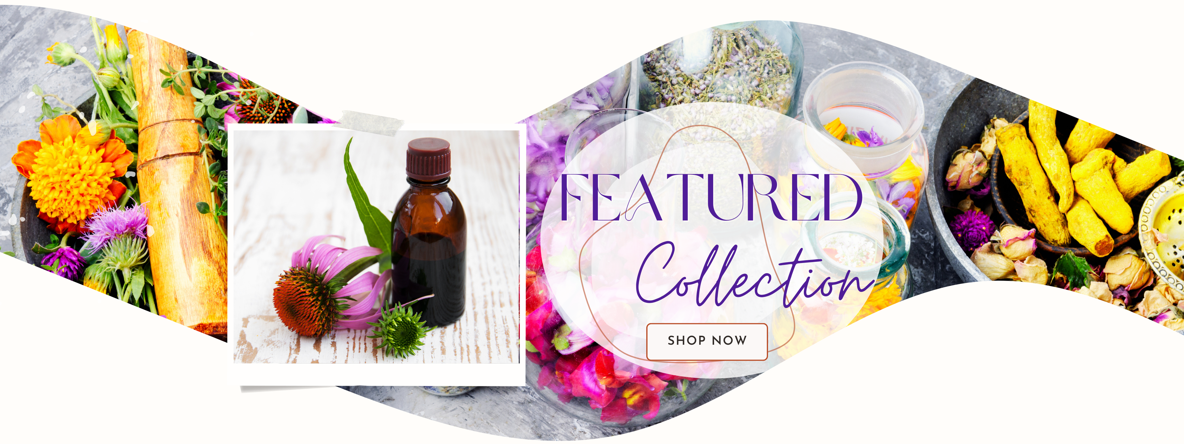files/NEW_COLLECTION_Banner_1.png